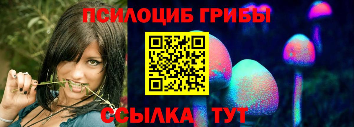 Псилоцибиновые грибы GOLDEN TEACHER  Вход с VPN  Тимашёвск 